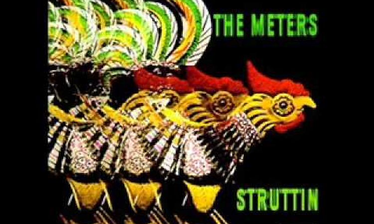 The Meters - Ride Your Pony