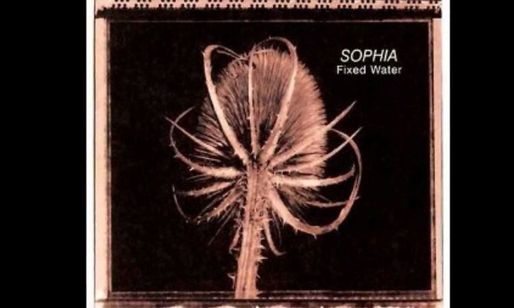 Sophia - Another Friend