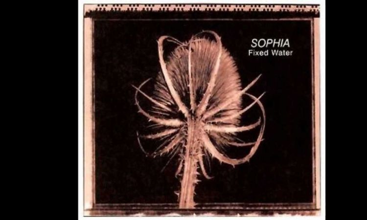 Sophia - When You're Sad