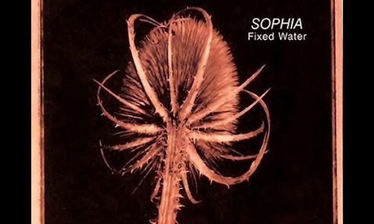 Sophia - Is It Any Wonder