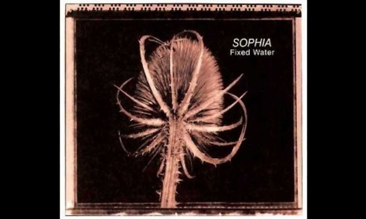 Sophia - The Death of a Salesman