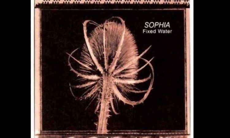 Sophia - Is It Any Wonder