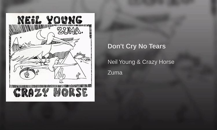 Don't Cry No Tears