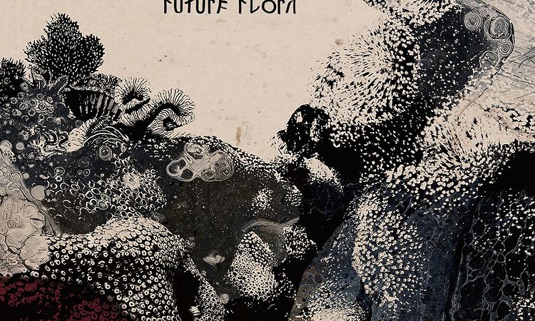 Black Flower - Hora de Aksum