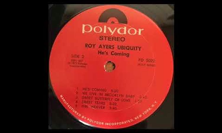 ROY AYERS UBIQUITY - WE LIVE IN BROOKLYN BABY (PD 5022)