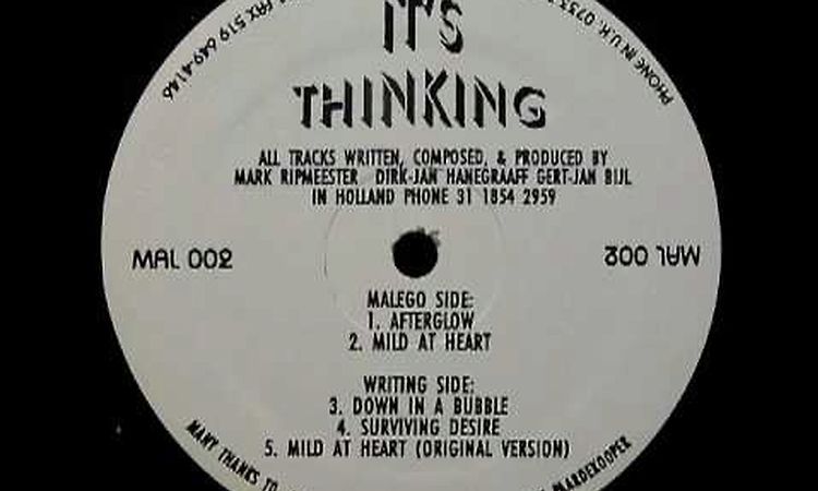 It's Thinking - Mild At Heart