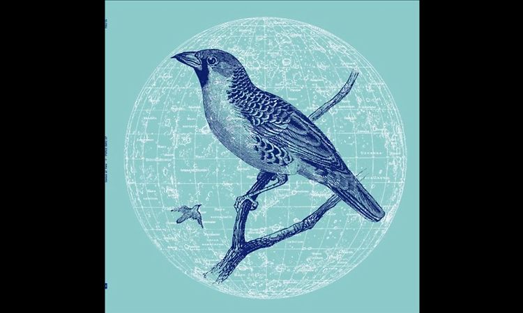 Genius Of Time - Peace Bird [RB075]