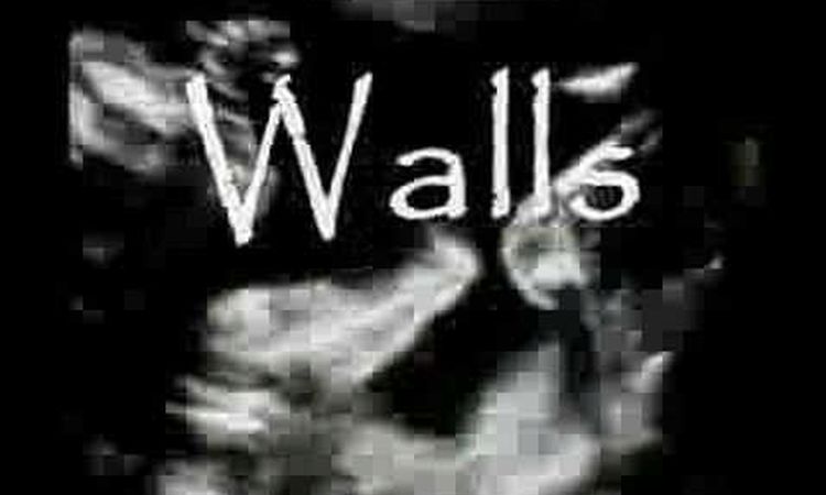 Crass- Walls