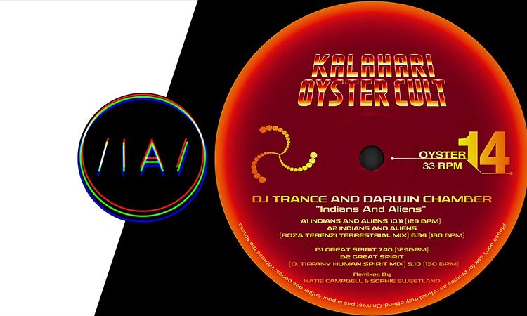 DJ Trance & Darwin Chamber - Indians And Aliens (Roza Terenzi Terrestrial Mix)