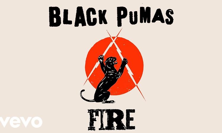 puma black ink age