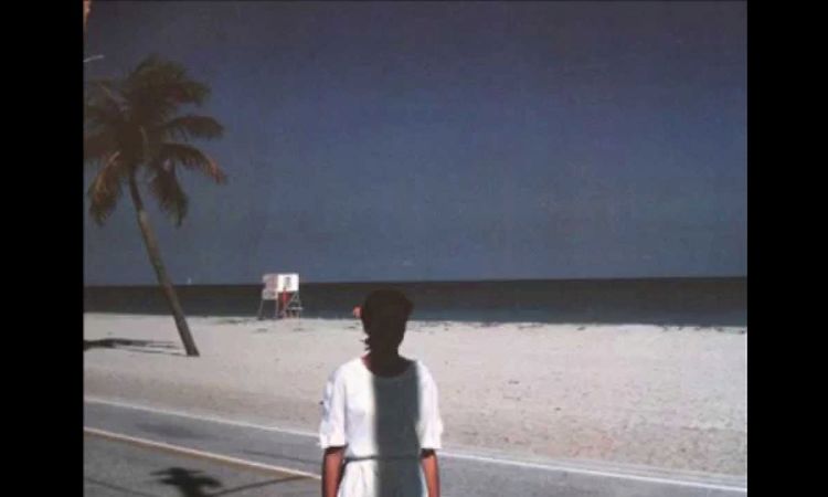 Down On The Road By The Beach, Steve Hiett – LP – Music Mania 
