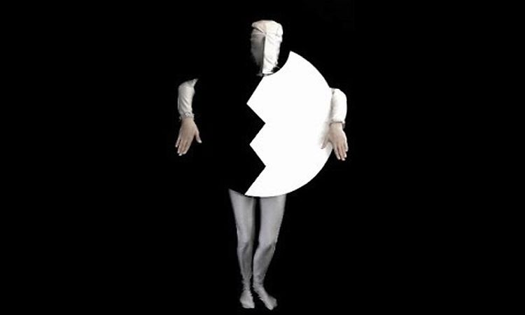 Vanishing Twin - the Invisible World