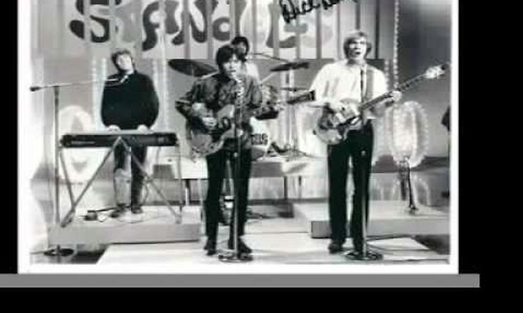 The Standells - Sometimes Good Guys Don't Wear White