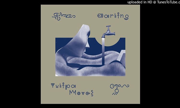 Darling - Tulipa Moves