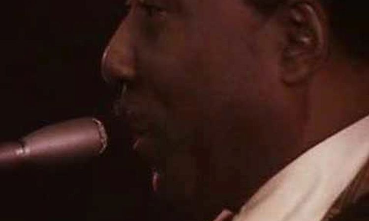 Muddy Waters plays Manish Boy