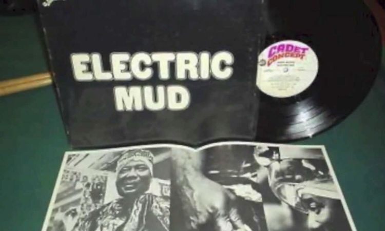 Muddy Waters   Eletric Mud 1968) Full Album [HQ]