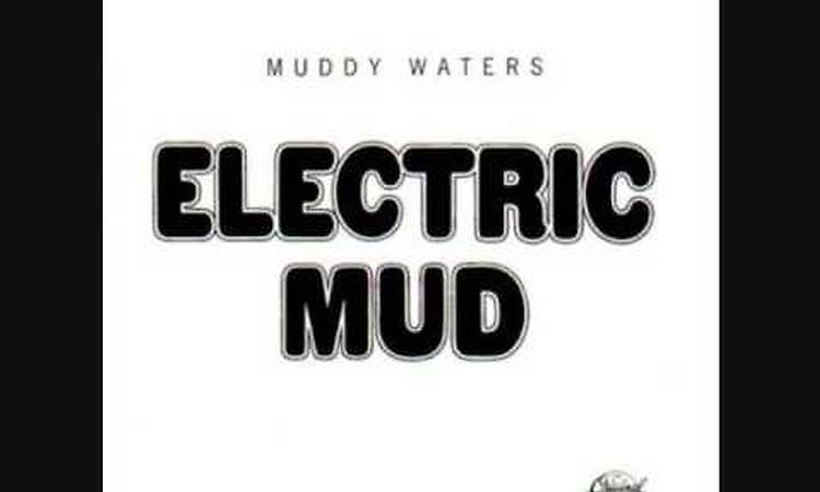Muddy Waters- I Just Want to Make Love to You (Electric Mudd Version)