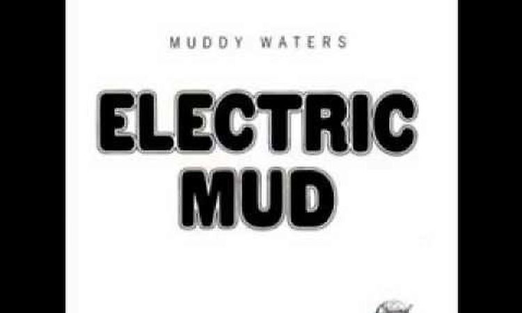 Muddy Waters - She's alright