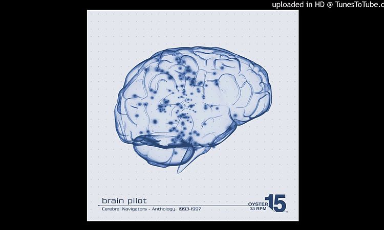 B2 Brain Pilot - Nutrient (OYSTER15)