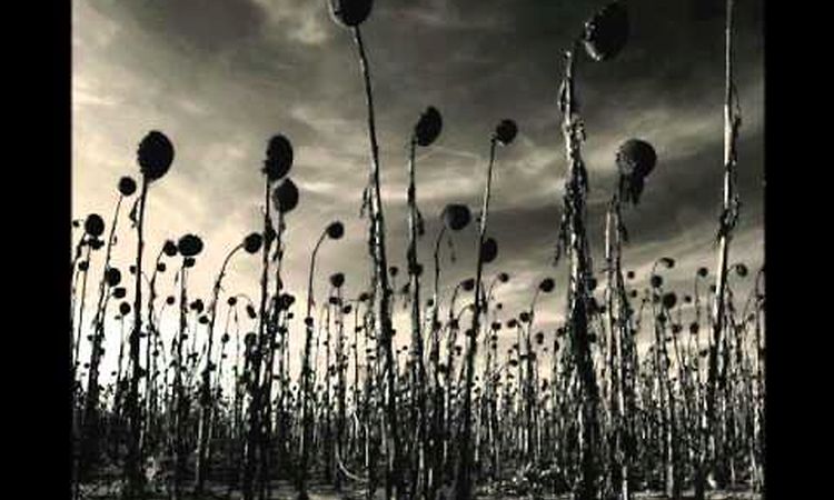 Dead Can Dance - Opium