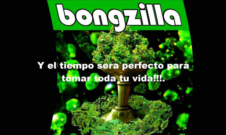 Bongzilla - Gestation (sub-español)