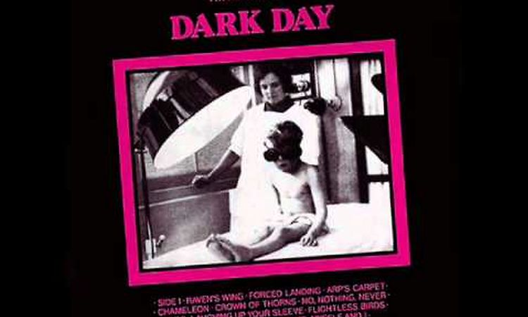 DARK DAY raven's wing 1980