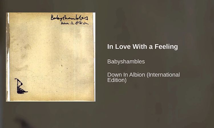 Babyshambles - In Love With a Feeling