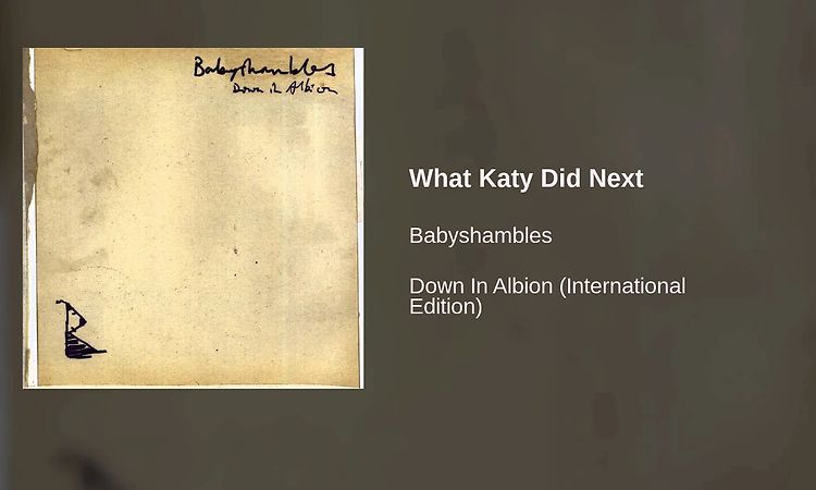 Babyshambles - What Katy Did Next