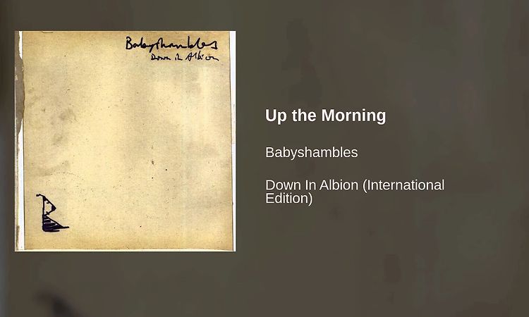 Babyshambles - Up the Morning