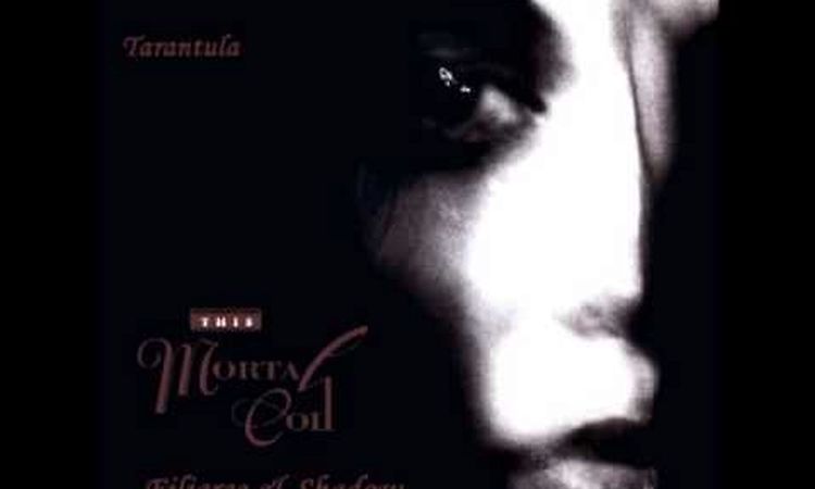 This Mortal Coil - Tarantula