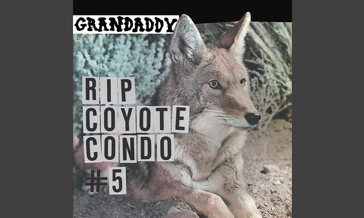 RIP Coyote Condo #5