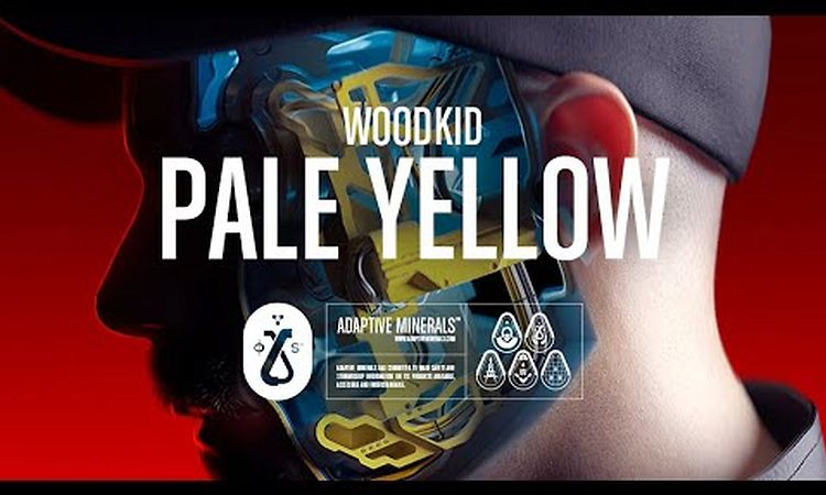 Woodkid - Pale Yellow (Lyric Video)