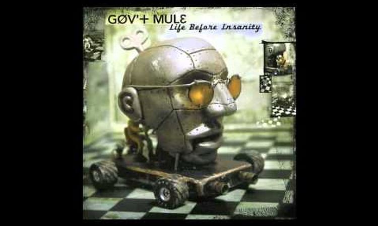 GOV'T MULE  Life Before Insanity (Life Before Insanity)