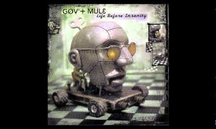 I Think You Know What I Mean - Gov't Mule